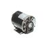 Motor Carb Pump 120V Or 220V, 5009598