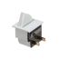 Switch, Blast Chiller Door E3101AAAAB, EL-SWT9901