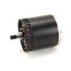 115V Motor, 12-2430-21