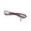 Harness Low Voltage, 12-2976-01