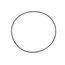 O-Ring, 13-0617-49