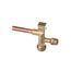 Process Valve & Caps, 16-0832-21
