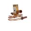 Thermostatic Expansion Valve, 16-1017-21