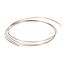 Tubing Capillary, 315-10064-01