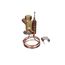 Thermo Expansion Valve AA1/2SW50 R-404A/, 325-60080-34