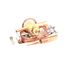 Thermo Expansion Valve AA1/2SC R-404A/MT, 325-60080-40