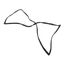 Gasket, 53.375X26X0.5625, P0123A0700