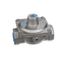 Gas Pressure Regulator, Gas Pressure, Convertible, RCP1002