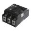 3 Pole 100A 240V Circuit Breaker, S1-02441146000