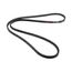 Multi Cogged Drive Belt, AX61, S1-AX61