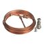72" Stainless Steel (M10) Thermocouple, S1-H06E-72