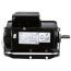 1 HP 115/230v Poultry Fan Motor, 1 PH, 1725 RPM, 56 Frame, TEAO
