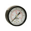 2" PEM Dual Scale Economy Pressure Gauge (0-300 PSI)