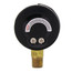 2" PEM Dual Scale Economy Pressure Gauge (0-30 PSI)