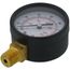 2" PEM Dual Scale Economy Pressure Gauge (0-160 PSI)