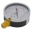 2-1/2" PEM Dual Scale Economy Pressure Gauge (0-30"Hg Vacuum/kpa)