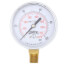 2-1/2" PEM Dual Scale Economy Pressure Gauge, Lead Free (0-100 PSI)