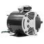 1/4 hp 1-speed 115v 1725 Rpm Motor, 311338P