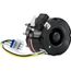 Pems 5w hp , 1 Sp, 115v, 700 Rp Electric Motor, 314955P