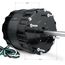 3128S OEM Replacement Motor