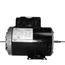 ASB503 Pool and Spa Motor