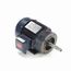 CPE10 Close Coupled Pump Motor