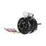 1/4 HP 1075/3 RPM 5" Motor, PM5-5432