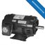 D30P3D General Purpose Motor
