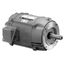 D32P1ACR General Purpose Motor