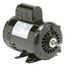 D34CP3PH General Purpose Motor