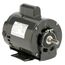 D34CPA1PH9 General Purpose Motor
