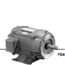 DJ25P1EM Close Coupled Pump Motor