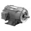 DJ5P1DM Close Coupled Pump Motor