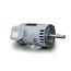 DJPP0034 Close Coupled Pump Motor