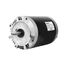 Bell & Gossett Replacement Motor 3 hp 230/460v 3-phase 3500 Rpm, DM0460