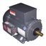 FD13CM2P High Torque Motor