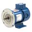 G637 PMDC Motor