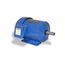 GP0024C General Purpose Motor