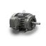 JMP0034 Close Coupled Pump Motor