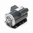 B336 General Purpose Motor