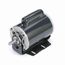 C1155 General Purpose Motor