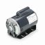 C1264 General Purpose Motor