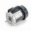 C1336 Jet Pump Motor
