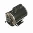 C219 General Purpose Motor