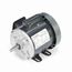C262 General Purpose Motor