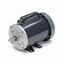 C264 General Purpose Motor