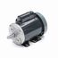 C295 General Purpose Motor
