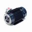 C361A Explosion Proof Motor