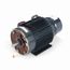 C405 Brakemotor