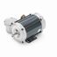 C646 Explosion Proof Motor